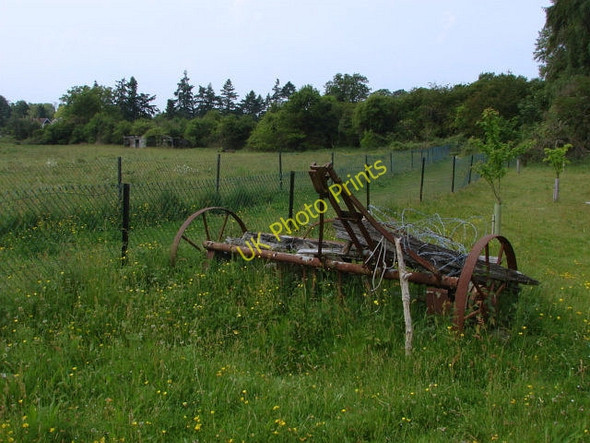 Photo 6"x4" Saunders Lane Meadows, Mayford Woking c2010 P1