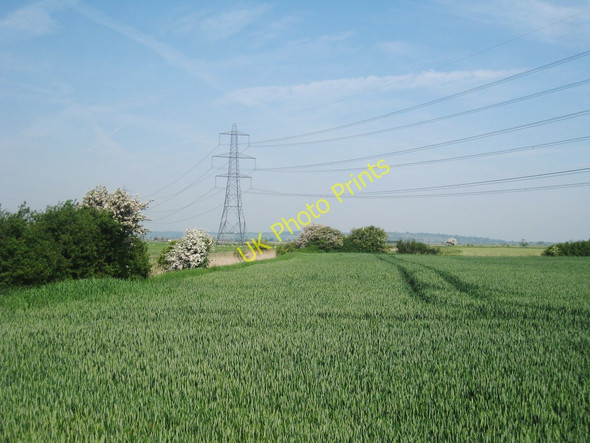 Photo 6"x4" Cropfield near to Knackball Cottages Brookland\/TQ9825 c2010