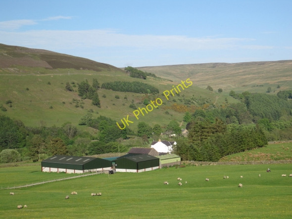 Photo 6"x4" Amos Hill Farm, Slaggyford Slaggyford c2010