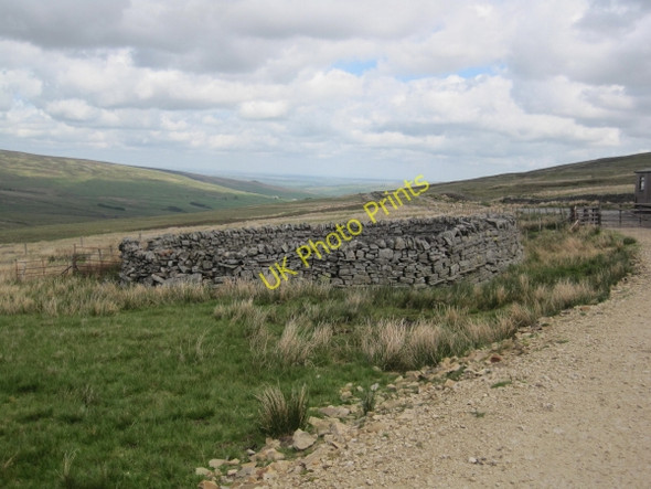 Photo 6"x4" Sheepfold near High Shield Slaggyford c2010