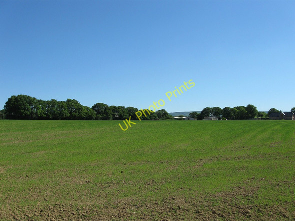 Photo 6"x4" Ifords Field Laughton\/TQ5013 c2010