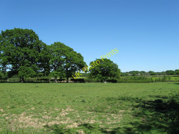 Photo 6"x4" Two Acre Glebe Laughton\/TQ5013 c2010