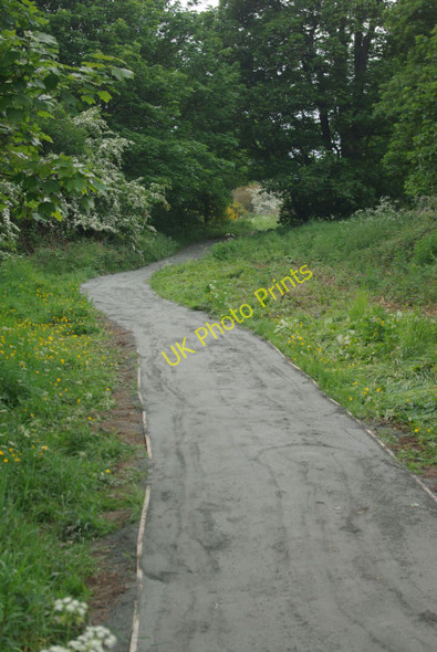 Photo 6"x4" Riverside path, Ryton Island Ryton\/NZ1564 c2010