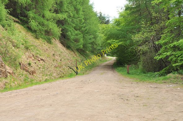 Photo 6"x4" Forest road into Littlerig Glendevon\/NN9904 c2010