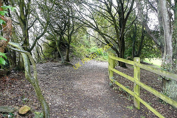 Photo 6"x4" Coastal path at Ventnor Ventnor c2010