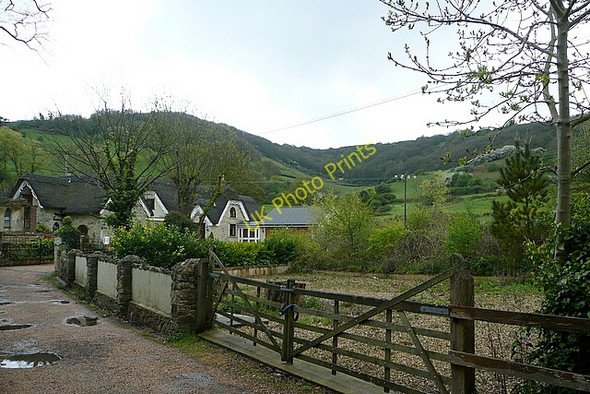 Photo 6"x4" Luccombe Chine Shanklin c2010