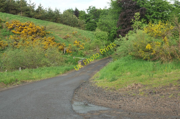 Photo 6"x4" Road and bridge over a tributary of Chapel Burn Path of Condie c2010