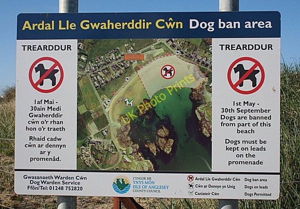 Photo 6"x4" Dog Ban Area Isallt Bach c2010