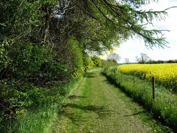 Photo 6"x4" Path to The Whispering Knights Little Rollright c2010