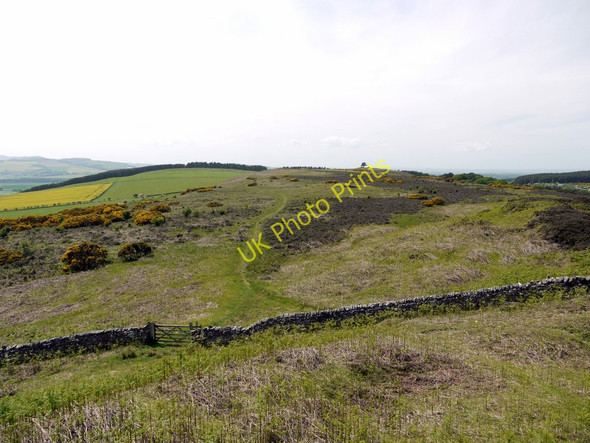 Photo 6"x4" Broom Ridge from Goats Crag Hill Ford Hill\/NT9537 c2010