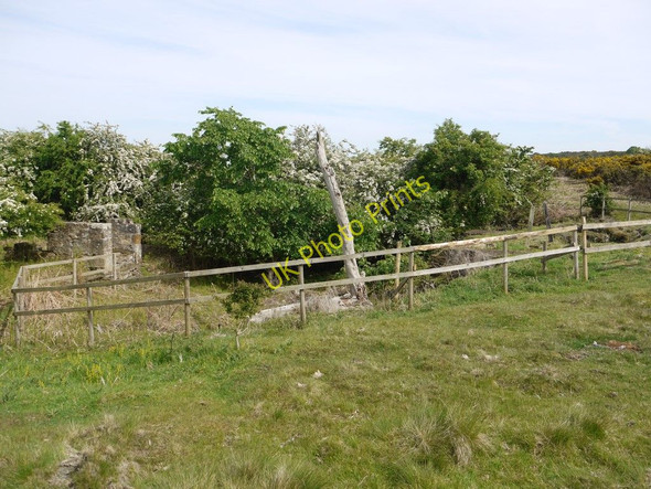 Photo 6"x4" The remains of Moss Pit, Ford Moss Colliery Ford Hill\/NT9537 c2010