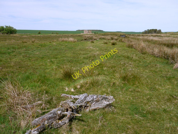 Photo 6"x4" The north side of Ford Moss Ford Hill\/NT9537 c2010