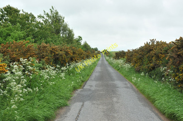 Photo 6"x4" Narrow road near Gollanfield Lochside\/NH8152 c2010