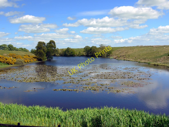 Photo 6"x4" Rothley Lakes Longwitton c2010