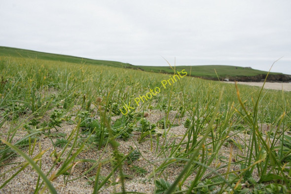 Photo 6"x4" Above Skaw beach Kirkaton c2010