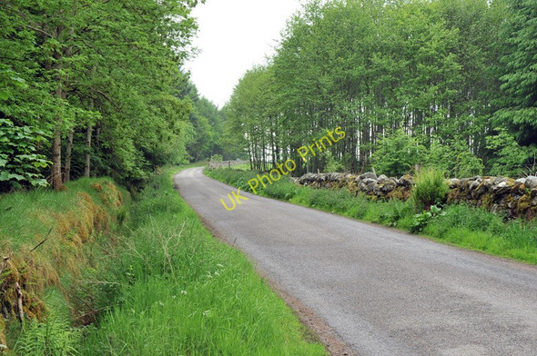 Photo 6"x4" Road near Arr Wood, south of Auldearn Auldearn c2010