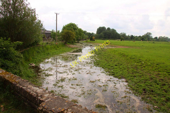 Photo 6"x4" The stripling Thames at Ewen Ewen c2010