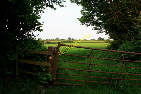 Photo 6"x4" Gate near Upper Hagg Farm Dale Abbey c2010