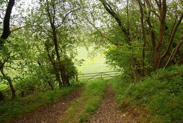 Photo 6"x4" Gate by a track in the Dalby Forest Bickley Gate Fm c2010