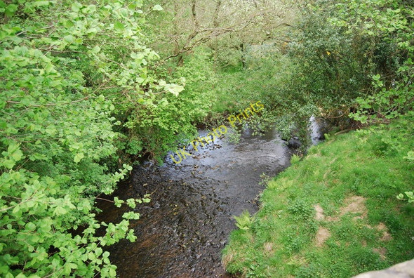 Photo 6"x4" White Beck Silpho c2010