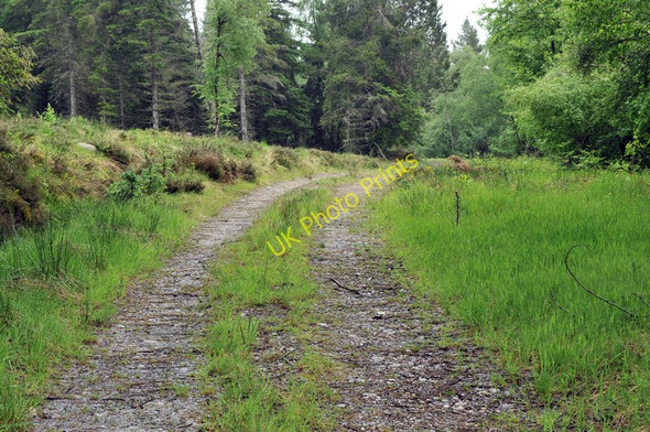 Photo 6"x4" Forest road into the plantation near Shaw Hill Relugas c2010