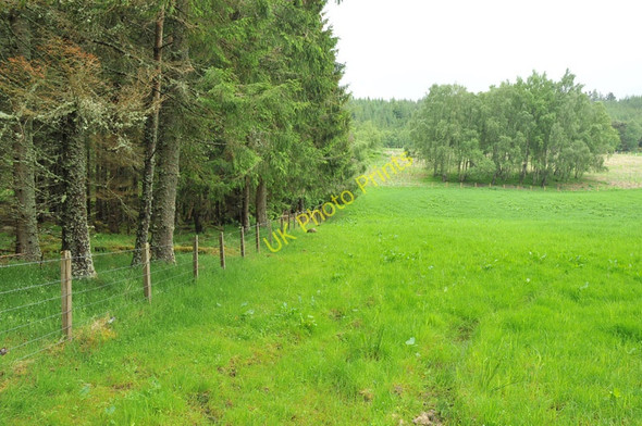 Photo 6"x4" Field and forest edge near Relugas Relugas c2010