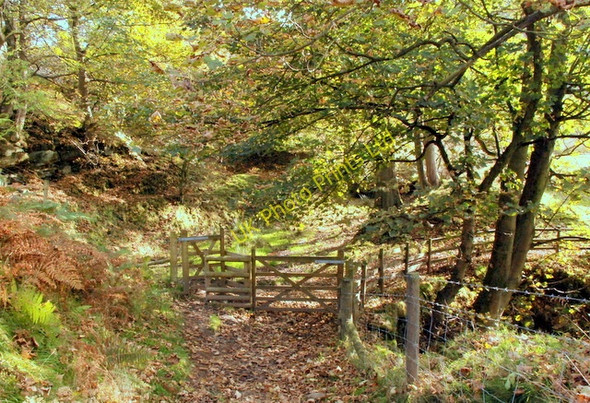 Photo 6"x4" Path junction in Bretton Clough Bretton\/SK2077 c2007