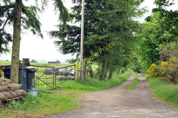 Photo 6"x4" Farm road to Wester Lawrenceton Califer c2010