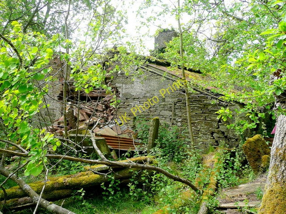 Photo 6"x4" The Old House 1 Craswall\/SO2835 c2010