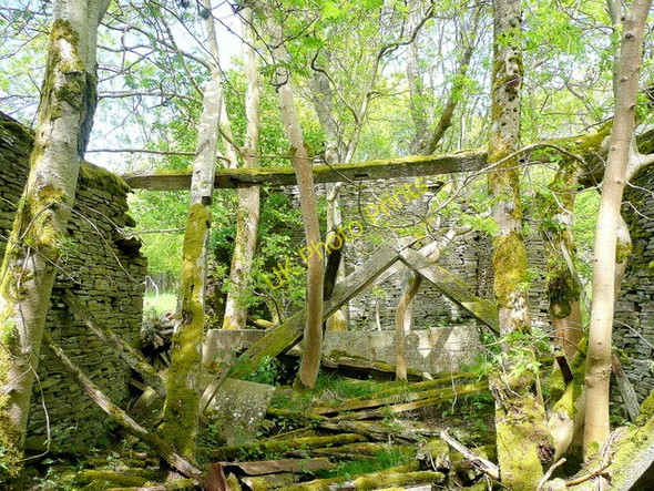 Photo 6"x4" The Old House 2 Craswall\/SO2835 c2010