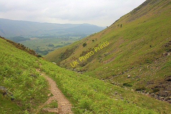 Photo 6"x4" Footpath up from Greendale Nether Wasdale c2010
