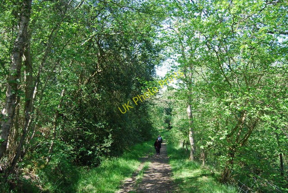 Photo 6"x4" Restricted byway from Little Hilla Green Silpho c2010
