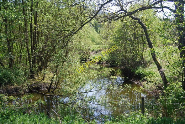 Photo 6"x4" Cut off Meander, River Derwent Silpho c2010