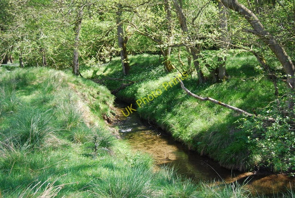 Photo 6"x4" Sow Beck Hackness\/SE9790 c2010