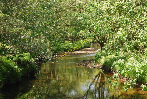 Photo 6"x4" River Derwent Hackness\/SE9790 c2010 P2