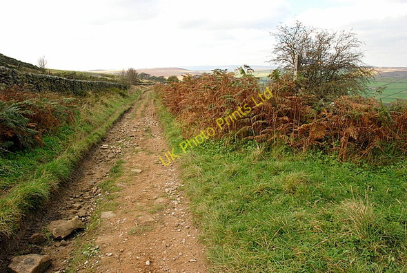 Photo 6"x4" Unmade lane across Bretton Moor Bretton\/SK2077 c2007