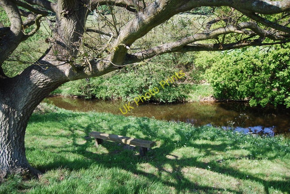 Photo 6"x4" Bench by the River Derwent Hackness\/SE9790 c2010