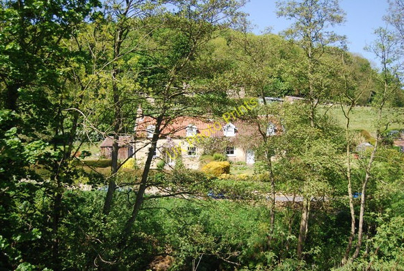 Photo 6"x4" Cottage on Broxa Lane seen through the trees Hackness\/SE9790 c2010