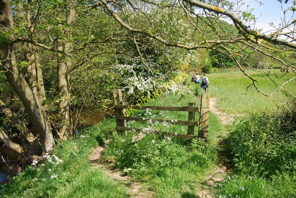 Photo 6"x4" Stile by the River Derwent Hackness\/SE9790 c2010