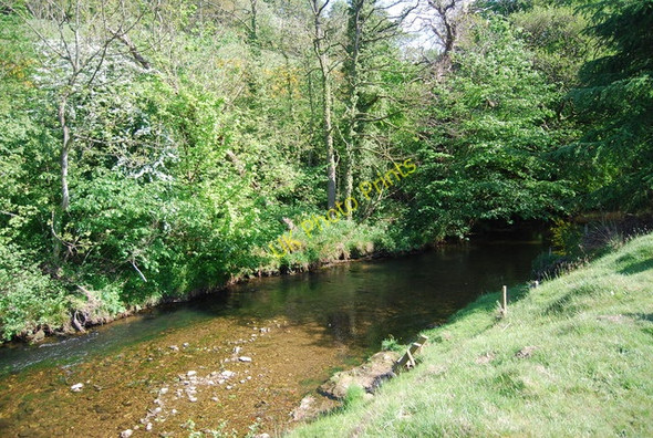Photo 6"x4" River Derwent near Wrench Green Hackness\/SE9790 c2010