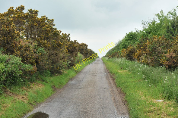 Photo 6"x4" Narrow lane near Forres Enterprise Park Kinloss c2010