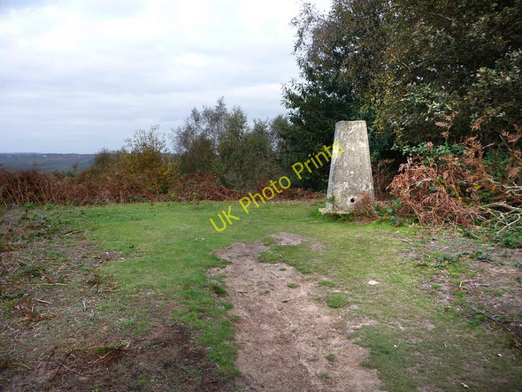 Photo 6"x4" Older Hill Trig Point Redford\/SU8626 c2009