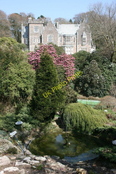Photo 6"x4" Lukesland Gardens Ivybridge\/SX6356 c2010