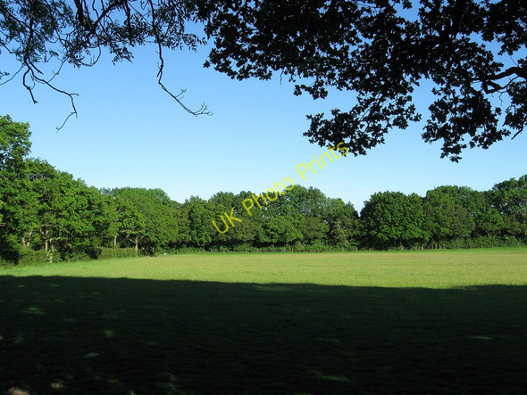 Photo 6"x4" Wood Field (1) Laughton Common\/TQ4914 c2010