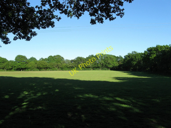 Photo 6"x4" Wood Field (2) Laughton Common\/TQ4914 c2010
