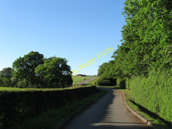 Photo 6"x4" Drive to Broyle Park Farm Laughton Common\/TQ4914 c2010