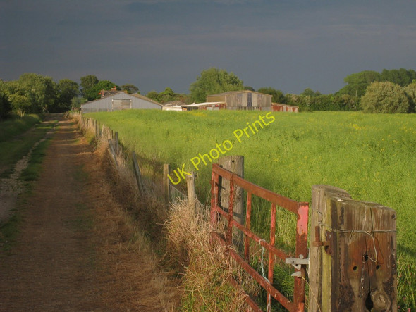 Photo 6"x4" Puddock Farm Fairfield\/TQ9626 c2010