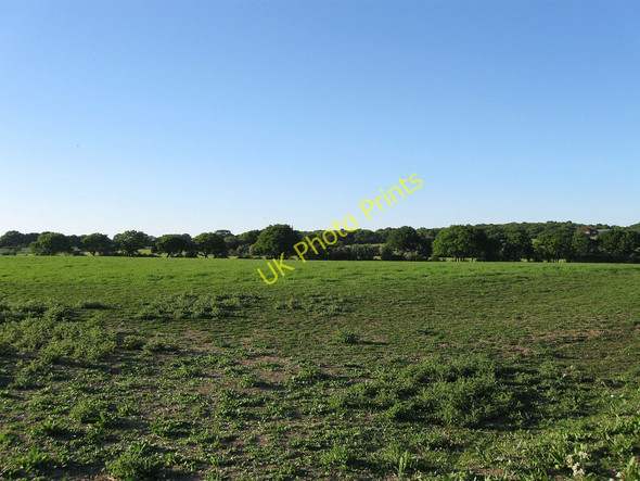 Photo 6"x4" Seventeen Acres Laughton Common\/TQ4914 c2010