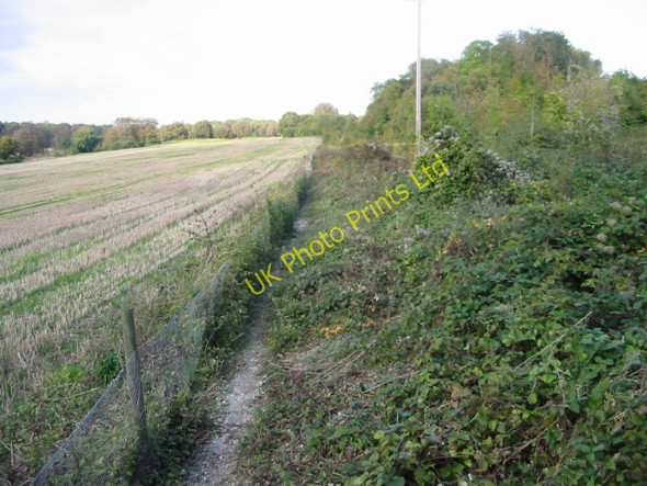 Photo 6"x4" Footpath along field boundary Eythorne c2007