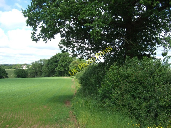 Photo 6"x4" Field and hedge on edge of Marsh Green Aylesbeare c2010